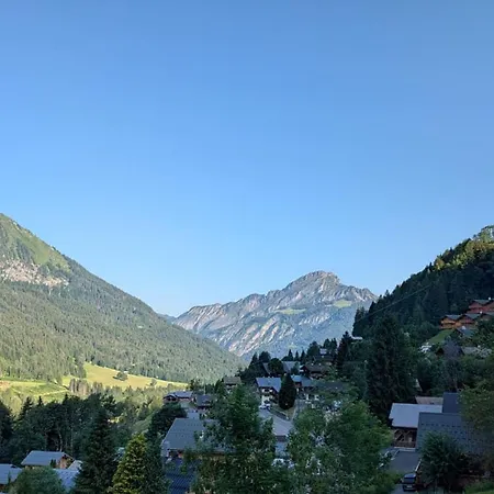 8 Pièces, 15 Pers, Châtel, Avec Balcon - Fr-1-676-234 Appartement *
